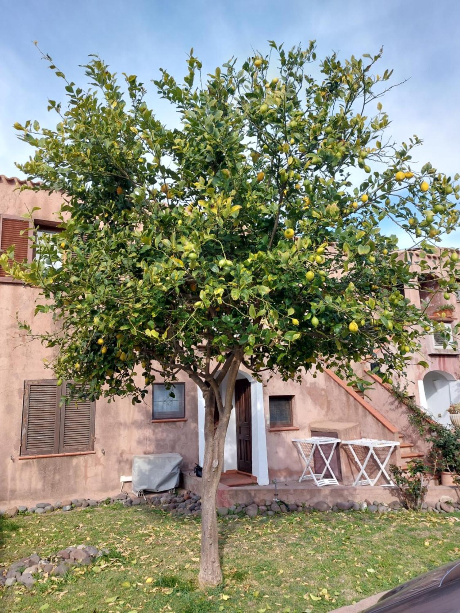 "Sardinia Blue Home" Vista Mare, Tramonti Mozzafiato Su Golfo Asinara, Giardino, Parking E Wi-Fi Castelsardo Exteriér fotografie