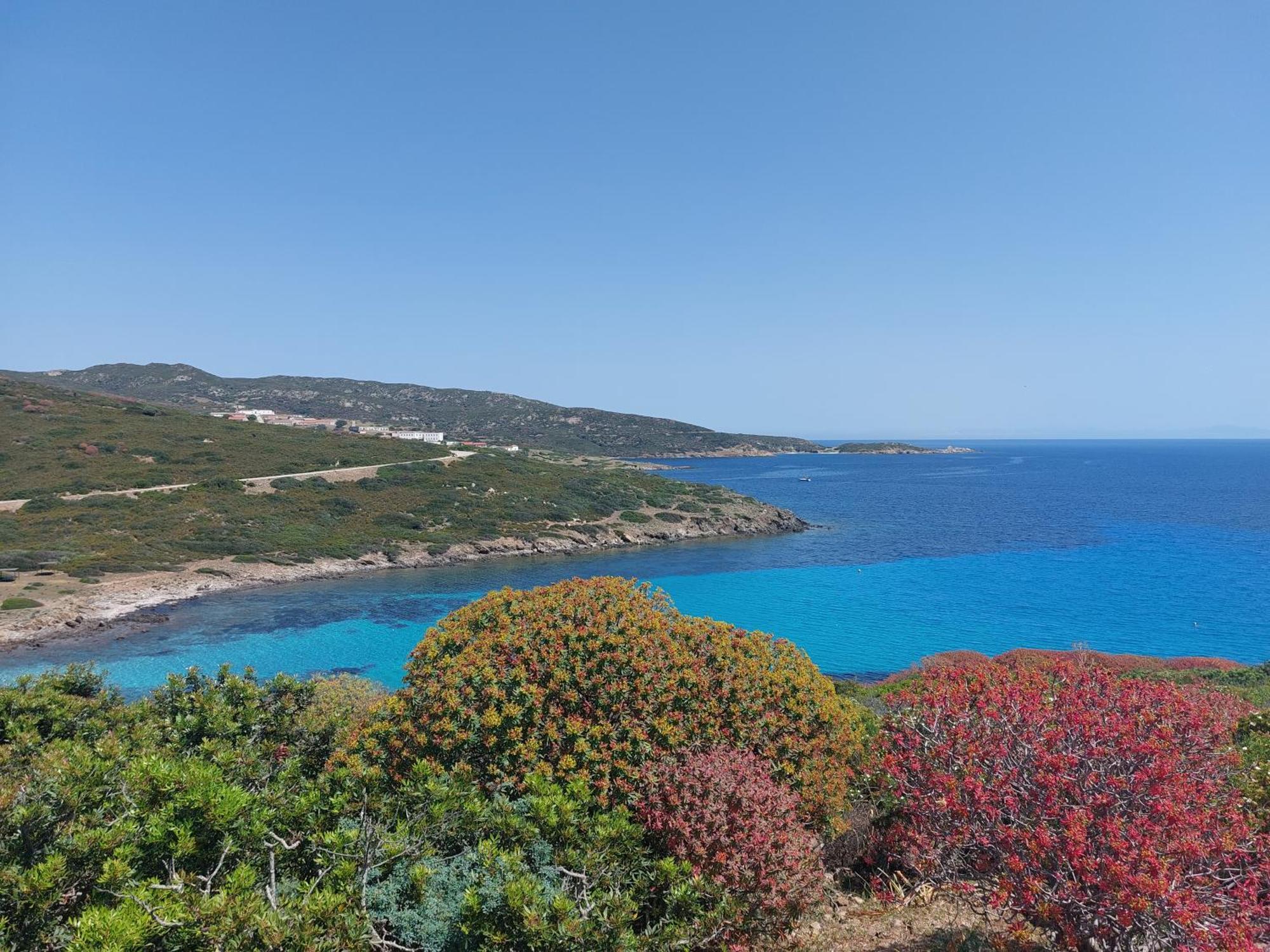 "Sardinia Blue Home" Vista Mare, Tramonti Mozzafiato Su Golfo Asinara, Giardino, Parking E Wi-Fi Castelsardo Exteriér fotografie